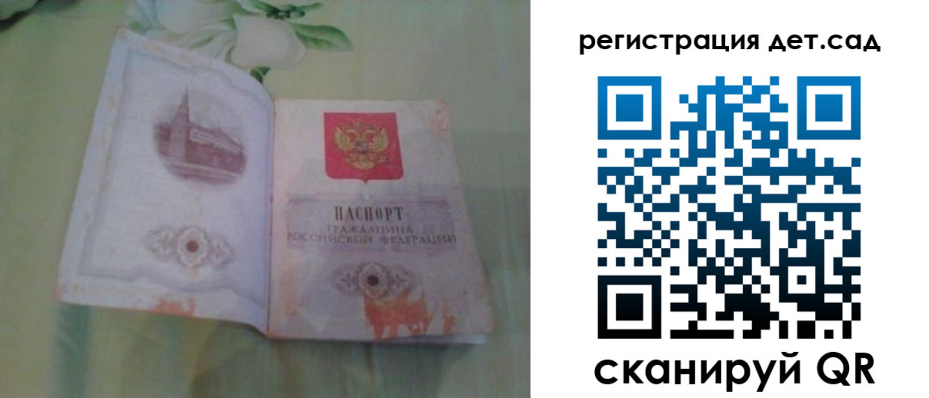 прописка гарантия в Саратове